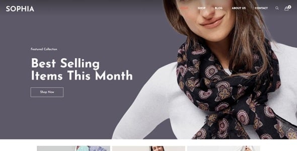 Fashion WordPress WooCommerce Theme