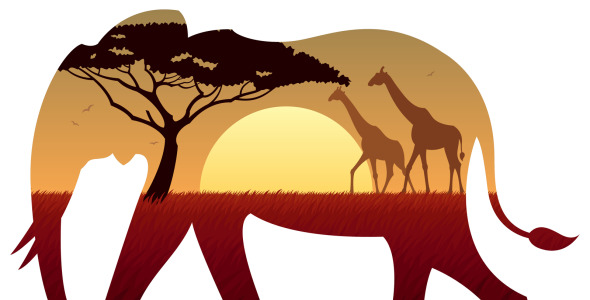 Иллюстрация на тему графика