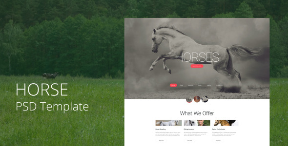 PSD шаблон на тему лошади
