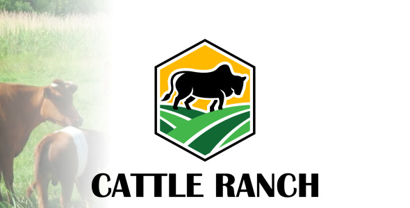 Шаблон логотипа на тему графика