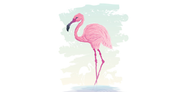 Иллюстрация на тему графика