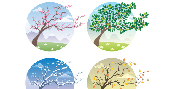 Иллюстрация на тему графика