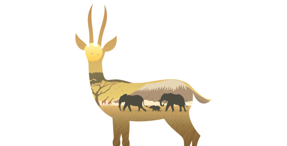 Иллюстрация на тему графика