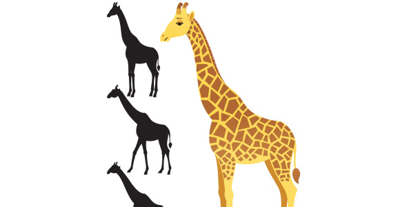 Иллюстрация на тему графика