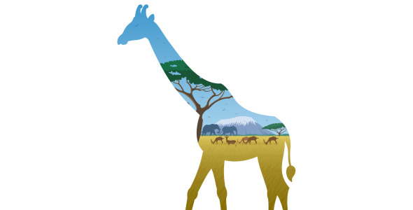 Иллюстрация на тему графика