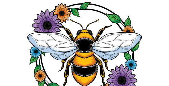 Иллюстрация на тему графика