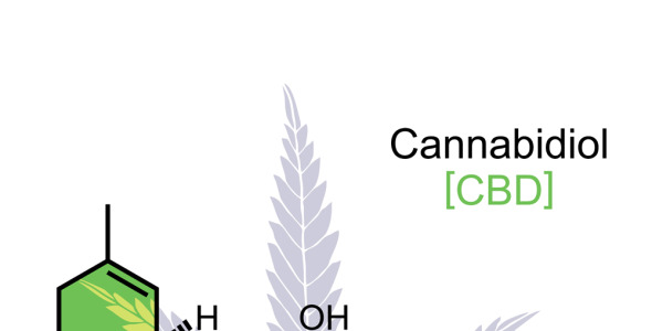 Иллюстрация на тему графика