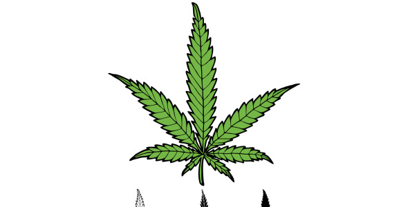 Иллюстрация на тему графика