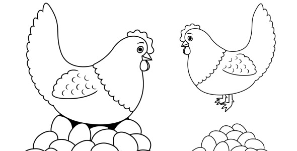 Иллюстрация на тему графика