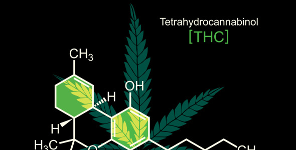 Иллюстрация на тему графика