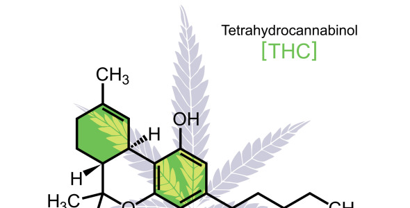 Иллюстрация на тему графика