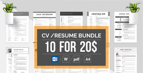 Адаптивный Резюме на тему графика