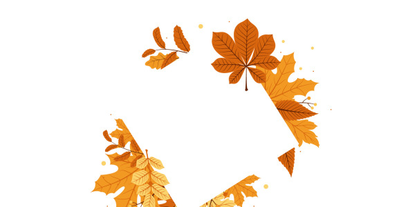 Иллюстрация на тему графика