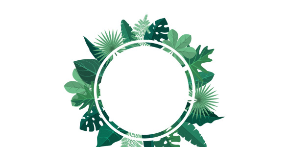 Иллюстрация на тему графика