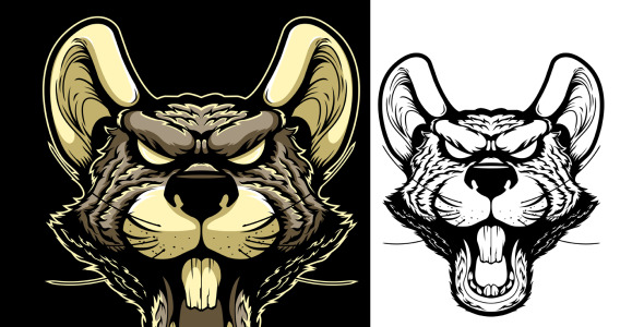 Иллюстрация на тему графика