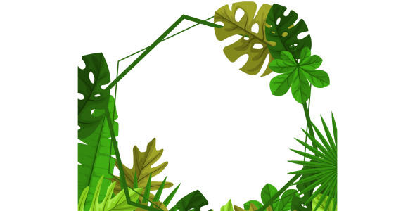 Иллюстрация на тему графика