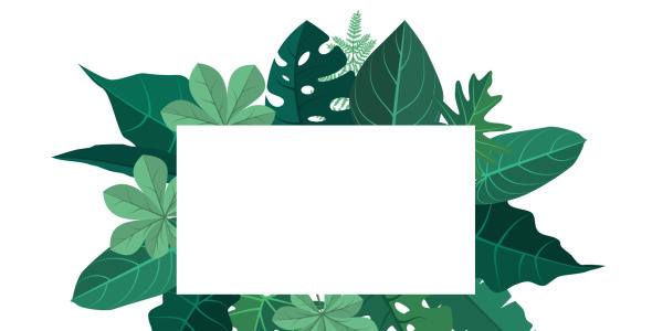 Иллюстрация на тему графика