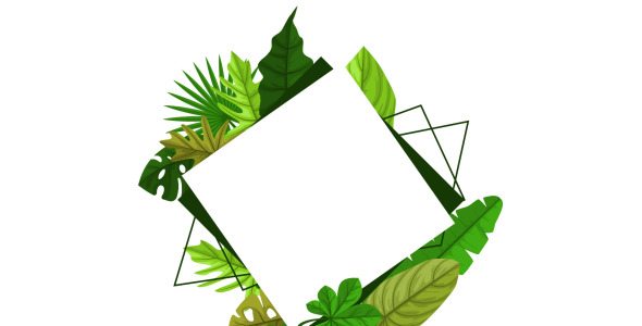 Иллюстрация на тему графика