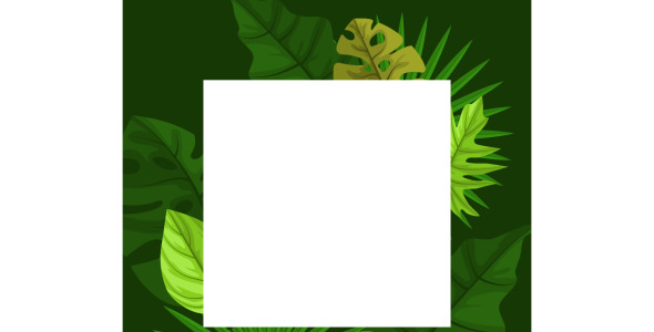 Иллюстрация на тему графика