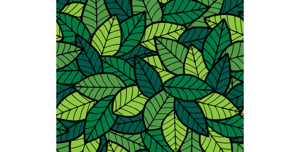 Иллюстрация на тему графика