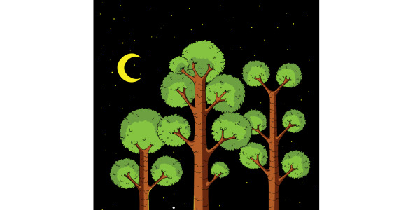 Иллюстрация на тему графика