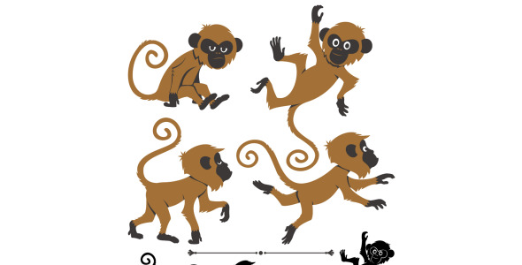 Иллюстрация на тему графика