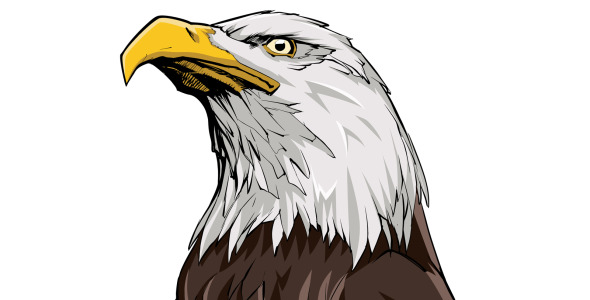 Иллюстрация на тему графика