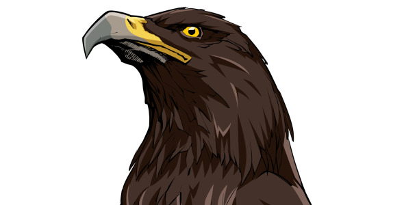 Иллюстрация на тему графика