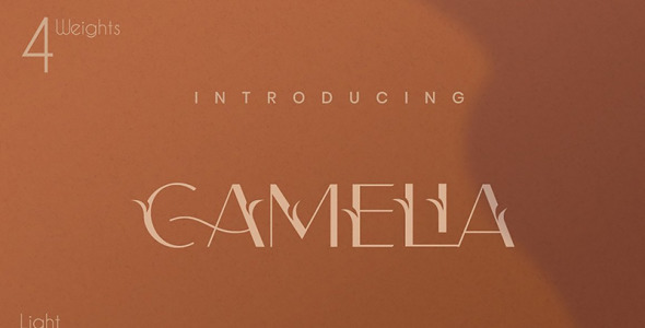 Шрифт на тему графика