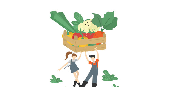 Иллюстрация на тему графика