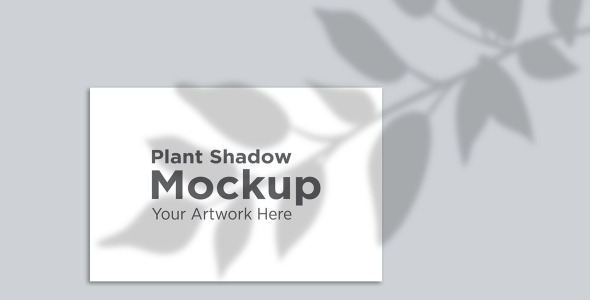 Мокап для продукта на тему графика