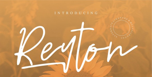 Шрифт на тему графика