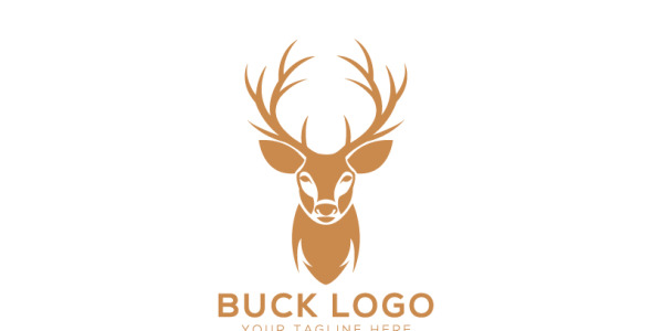 Шаблон логотипа на тему графика