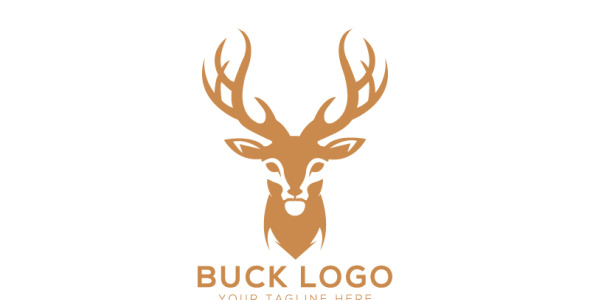 Шаблон логотипа на тему графика