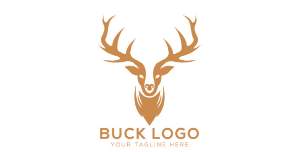 Шаблон логотипа на тему графика