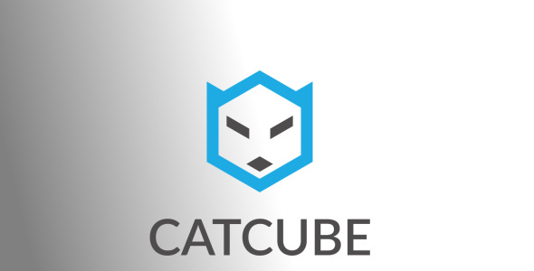 Шаблон логотипа на тему графика