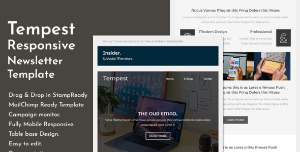 Responsive Email Newsletter Template