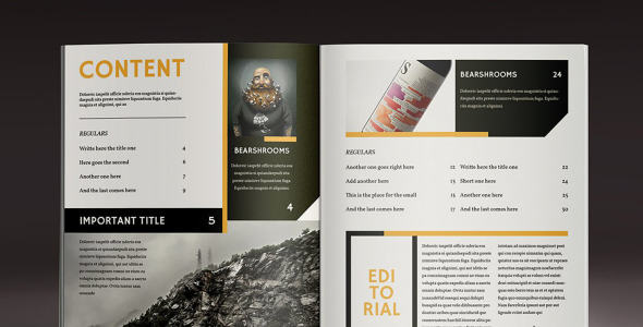 Magazine Template на тему графика