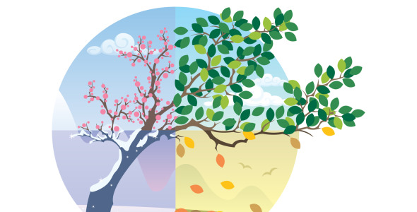 Иллюстрация на тему графика