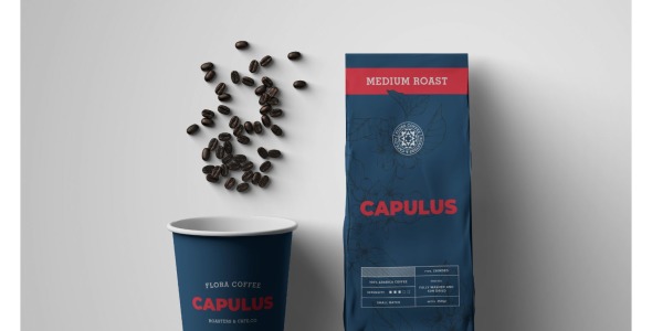 Фирменный стиль на тему графика