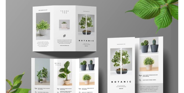 Фирменный стиль на тему графика