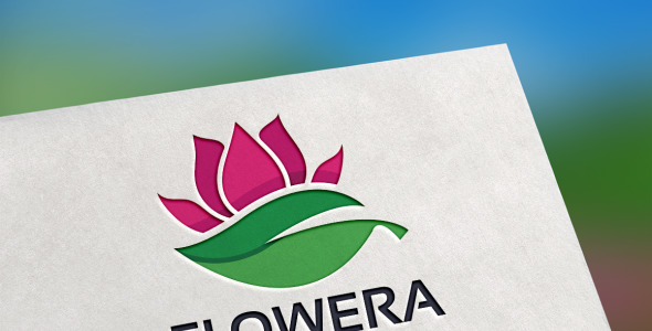 Шаблон логотипа на тему графика