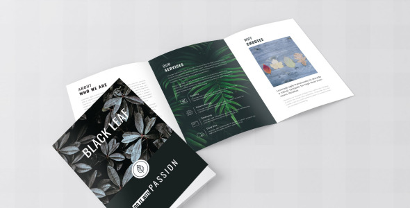 Фирменный стиль на тему графика