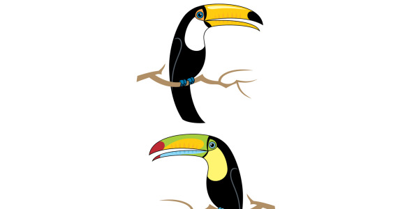 Иллюстрация на тему графика