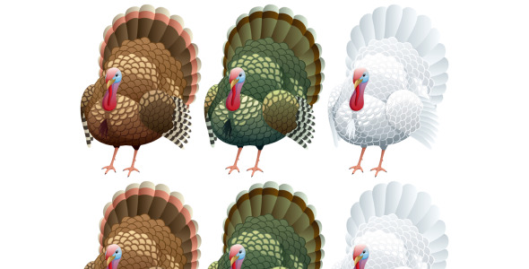 Иллюстрация на тему графика