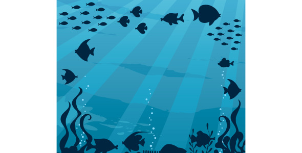 Иллюстрация на тему графика