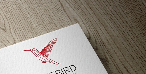 Шаблон логотипа на тему графика