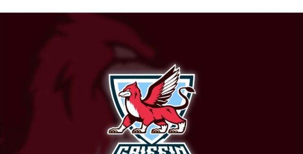 Шаблон логотипа на тему графика