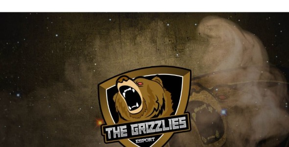 Шаблон логотипа на тему графика