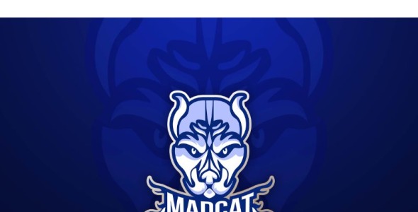 Шаблон логотипа на тему графика